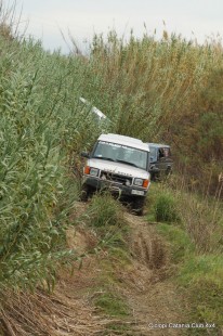 MudExperience_4x4_2012_(1568).JPG